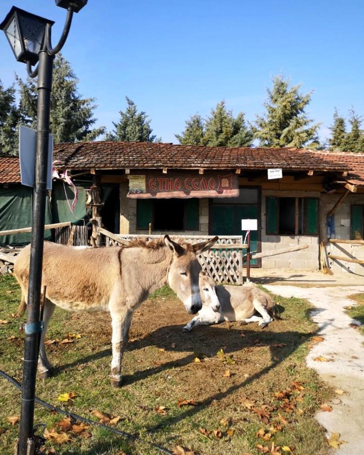 Etno Selo Timcevski Complex Vojnik Dış mekan fotoğraf